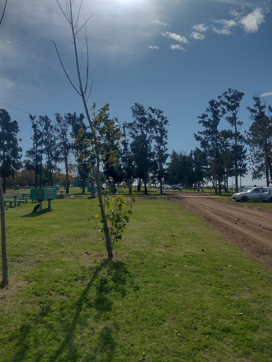 Parrilla Las Brasas Photos 2